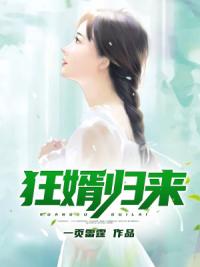 狂婿归来